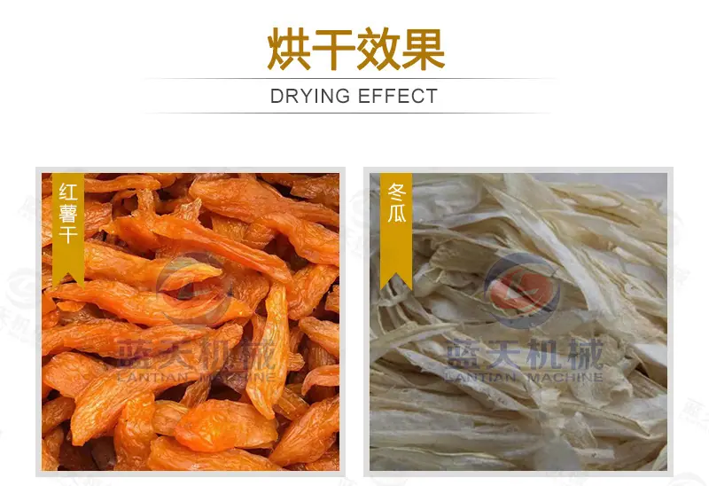 南瓜_12.jpg