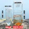 DropshippingHerramienta para pescar peces para niños, botella con púas para atrapar peces para estanques, arroyos, ríos, embalses poco profundos