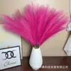 Hierba de Caña Artificial de 9 Ramas, Estilo Popular para Centros Comerciales y Hoteles, Decoración de Boda Festival de Plumas, Hierba de Cola de Zorro Artificial
