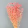 Arreglo Floral para Decoración del Hogar, Estilo Fresco y Natural, Flores Preservadas, Ramo de Gypsophila Estrellada de Ensueño al por Mayor