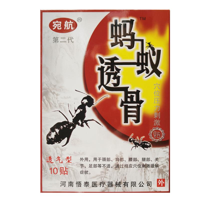 蚂蚁