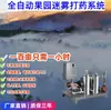 Sistema de Riego por Nebulización Automático Completo para Huertos Enfriamiento de Invernaderos Máquina Pulverizadora de Neblina Sistema de Bosque Nebulizado Host de Pulverización de Alta Presión