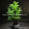 Cor de Simulação Planta Bananeira Viajante Planta em Vaso Simulação Verde Plantio Viajante Bananeira Interior Falso Verde Plantio Ave do Paraíso Plantas Nórdicas