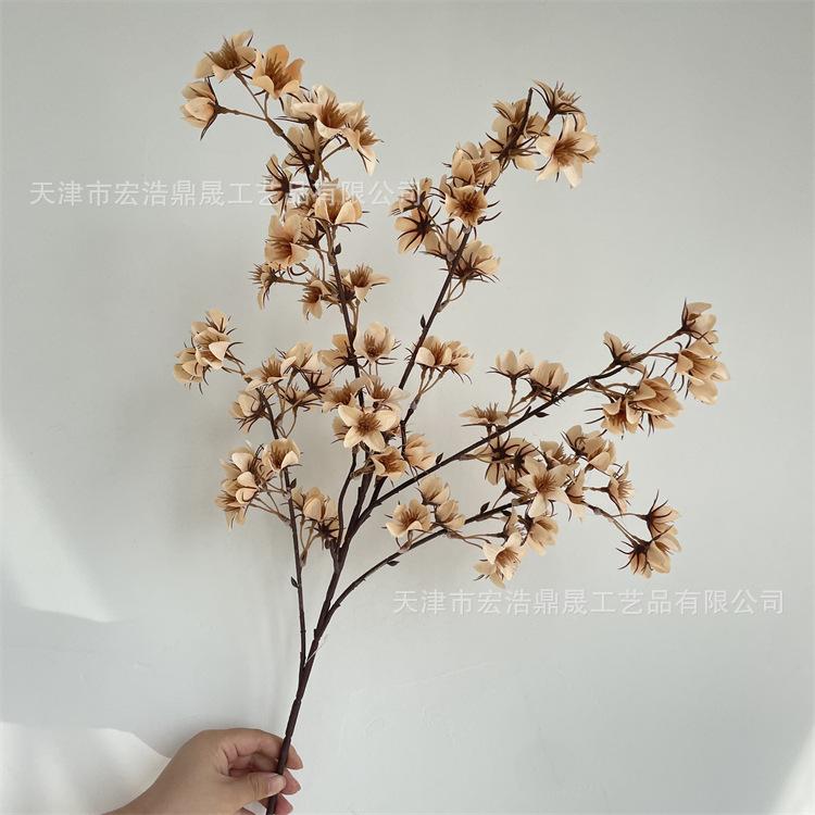 微信图片_202209081727135