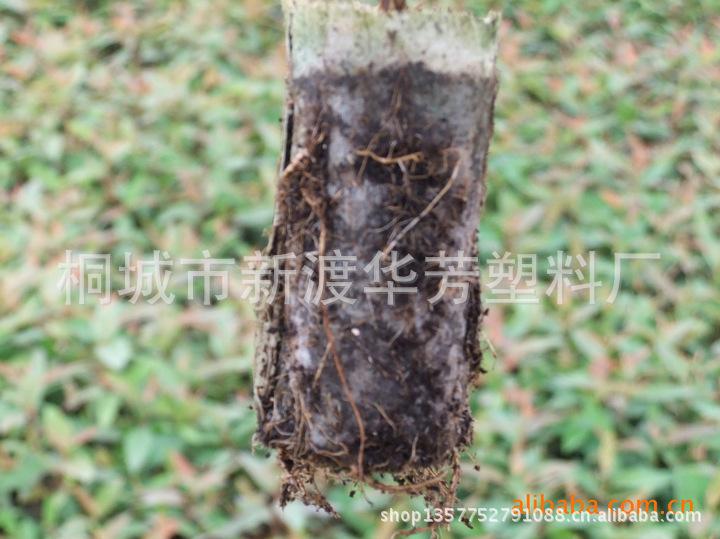 QQ截图20130210161003