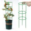 Anillo de Soporte para Planta con Flor, Varilla de Soporte para Flor, Estructura para Planta de Interior, Anillo de Rattan para Rama de Balcón, Anillo Fijo