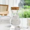 Vaso de Vidro Hidropônico Transparente Minimalista Criativo para Cultivo de Plantas Verdes Como Jiboia, Osmanthus e Pinheiro Arhat
