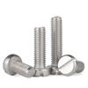 Tornillo de cabeza cilíndrica ranurada de acero inoxidable GB65 tornillo ranurado 304