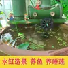 Cerámica Tradicional Grande Loto Nenúfar Maceta Tanque Tanque de Agua Patio Paisajismo Hogar Antiguo Cerámica Sala de Estar
