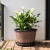 Nuevo producto transfronterizo: Maceta de madera tipo barril de vino, plástico engrosado y duradero, adecuada para balcón, uso interior y exterior, maceta grande de resina para cultivo en tierra