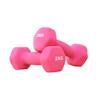 Mancuernas Pequeñas Hexagonales de Hierro Fundido Sólido de Colores Personalizadas por el Fabricante para Equipo de Fitness Femenino
