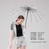 Guarda-chuva Transparente de 16 Varetas, Guarda-sol Automático Ecológico, Guarda-chuva Reto de Cabo Longo, Estilo Artístico, Logotipo Personalizável, Proteção Solar e Sombreado