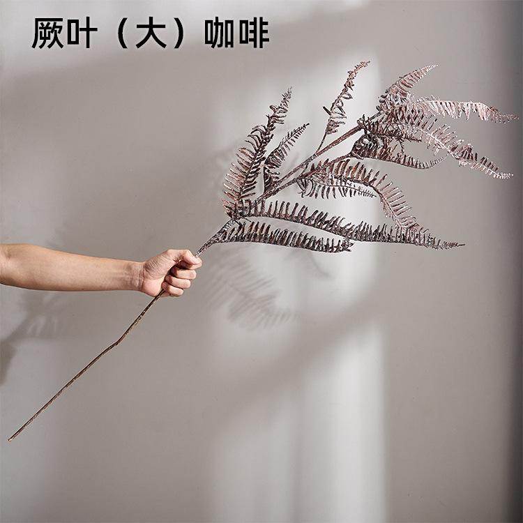厥叶（大）咖啡