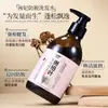 Shampoo Anti-Queda Qianfei com Extrato de Gengibre e Folha de Cipreste para Fortalecimento Capilar, Controle de Oleosidade e Volume, com Extrato de Planta de Ginseng, Venda Direta do Fabricante