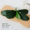 Borracha macia ao toque simulação de folhas de phalaenopsis material de flor de simulação folhas de flor de clivia planta bonsai arte floral acessórios para arranjo de flores