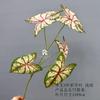 Única folha de taro simulação planta verde taro cor taro folha de casamento estrada arranjo de flores flor arte Mori casamento decoração do teto do salão de casamento