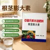 Agente Hinchante de Rizoma Fertilizante Foliar Agrícola Subterráneo Ajo Papa Camote Cacahuete Mostaza Encurtida Fruta Grande Fertilizante Soluble en Agua