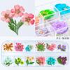 Nueva Uña Japonesa Flor Seca 12 Colores Estrella Girasol Margarita Pequeña 12 Colores Decoración de Flor Seca 24 Flores Secas para Uñas