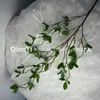 Folhas de Milão Simuladas, Plantas Verdes Simuladas, Flores e Plantas Verdes de Decoração de Jardim Realistas de Alta Qualidade, Atacado Transfronteiriço em Estoque
