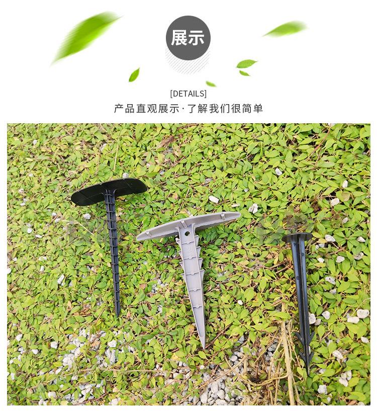 枝晓地钉_07.jpg