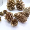 Kit de Materiales Hecho a Mano para Manualidades con Materiales Florales Mixtos, Piñas Naturales, Decoración de Jardín de Infancia con Temática del Bosque, Piñas de Navidad, Flores Secas