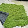 Simulação Musgo Branco Musgo Filamentoso Gramado Simulação Lã Musgo Musgo Falso Paisagismo Gramado Bonsai Planta em Vaso Loja