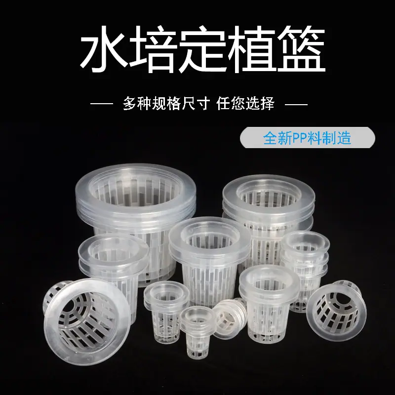 主图800