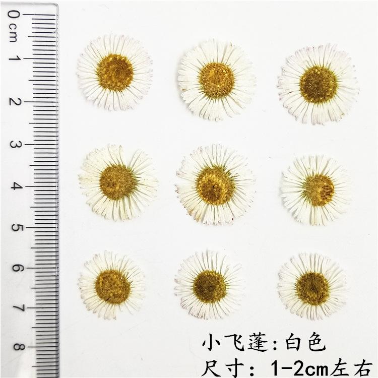 IMG20190111105810