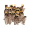 80 Tipos de Plumas Naturales de Faisán, Plumas Reales, Decoraciones Nativas Americanas, Accesorios para Manualidades, Accesorios para el Cabello, Juguete de Varilla para Rascar Gatos