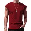 Comercio Exterior Transfronterizo Ebay Camiseta sin Mangas de Verano para Hombre con Textura de Canalé, Corte Holgado, Color Sólido, Camiseta sin Mangas Casual para Fitness