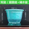 Maceta autorriego Potos maceta automática perezosa que absorbe agua maceta transparente plástico maceta especial para Potos venta al por mayor