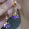 Moda Elegante Hebilla de Oreja de Durian Microincrustada Exquisitos Pendientes de Diseño de Nicho Versátiles para Todo, Hebilla de Oreja con Borla de Bola de Diamante para Mujer Moda para Mujer