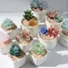 Adornos pequeños de esmalte de colores Zibo macetas suculentas manualidades de plantas de vidrio decoración de escritorio para sala de estar regalo de cumpleaños