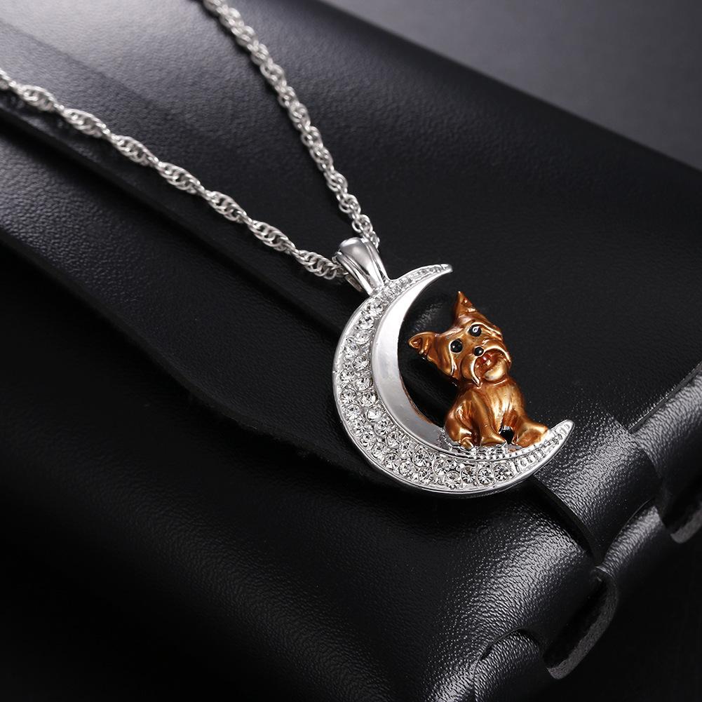 12791850990_2122545262