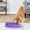 Tigela de Silicone para Pet Amazon Dobrável para Exterior Tigela para Cachorro Tigela para Gato Bacia para Cachorro Utensílios para Comida de Pet Logo Imprimível com Fivela