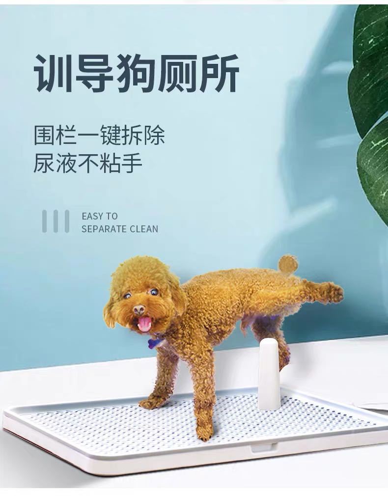 新8