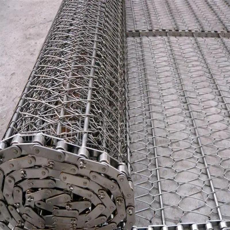 链条式网带输送带 (4)