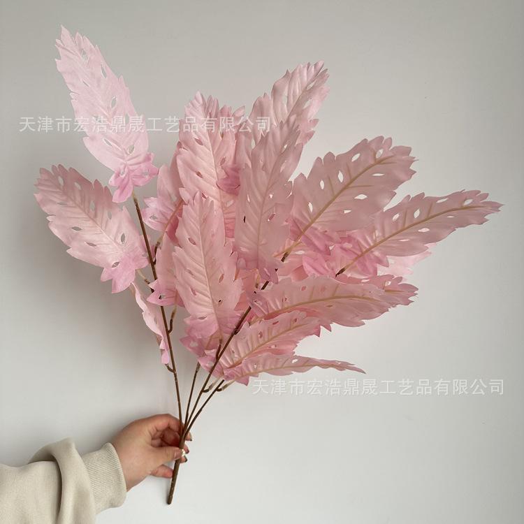 微信图片_202303241646125_副本