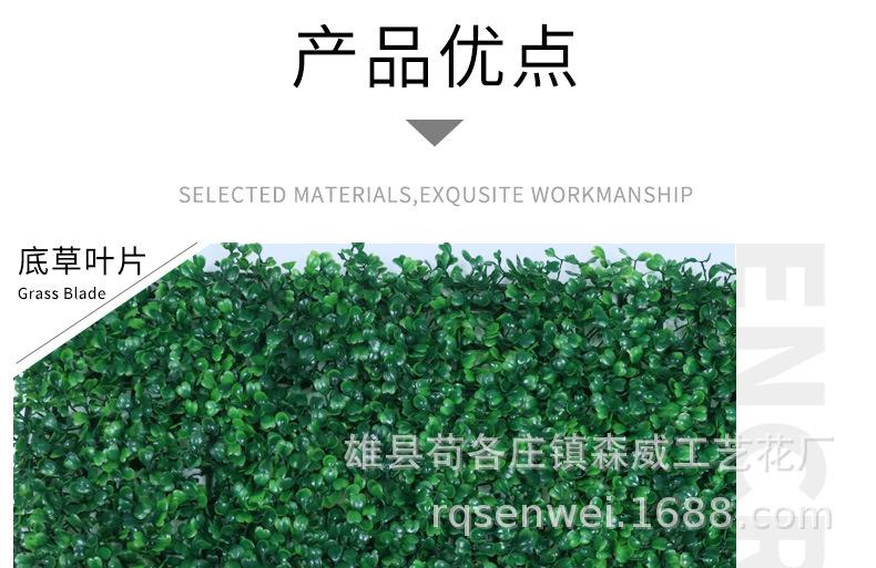加密米兰草_05.jpg