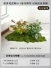 Musgo para Paisajismo de Plantas Verdes Plantas Artificiales Decoración Flores Artificiales Combinación Tropical para Interiores Paisaje de Ventana Persa Arreglo de Césped