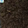 Em estoque: veludo pêssego, veludo em relevo, tecido de veludo com estampa de pena de pássaro, tecido para luvas de pelúcia, veludo escovado, tecido para brinquedos de pelúcia
