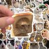 50 pegatinas con forma de gato realista para bolso, carcasa de teléfono móvil, taza de agua, guitarra, equipaje, pegatinas de grafiti, venta al por mayor