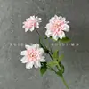 Flores Artificiales Dahlia de 3 Cabezas Paisajismo de Bodas Accesorios para Fotografía Decoración de Mesa Interior para el Hogar Flores Artificiales Listas para la Venta