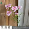 26 Años de Materiales de Flores Rosadas, Diseño de Rendimiento Comercial, Flores Falsas para Sesión de Fotos de Boda Romántica, Flores de Seda para Decoración Suave