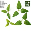 Accesorios Florales, Hojas de Plantas Artificiales, Plantas Verdes, Hojas Triangulares, Hojas de Rosa Impresas en Seda, Hojas Variegadas, Hojas de Monstera, Mayoreo
