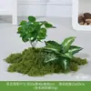Paisajismo de Plantas Verdes Paisaje de Sala de Estar Interior Paisajismo Debajo de la Ventana de las Escaleras Arreglo de Decoración Plantas Falsas Biónicas