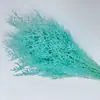Hierba de Amor Blanqueada Flor Inmortal Hierba de Amor Blanqueada Ramo Seco Material Base Yunnan Venta Directa Ramo Pequeño Amazon