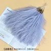 Adornos de Plumas de Hierba de Junco Nórdico Artificial para Exhibición en Sala de Estar, Estilo Ins, Hierba de Pampa Transfronteriza, Decoración de Boda, Accesorios Artificiales