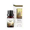 Comercio exterior transfronterizo aceite esencial de aromaterapia soluble en agua humidificador piedra expansora aceite esencial interior armario ambientador incienso fresco