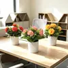 Venta Directa de Fábrica de 5 Arreglos Florales Artificiales de Claveles, Regalo para el Día de la Madre, Maceta Artificial Creativa para Sala de Estar y Mesa de Comedor